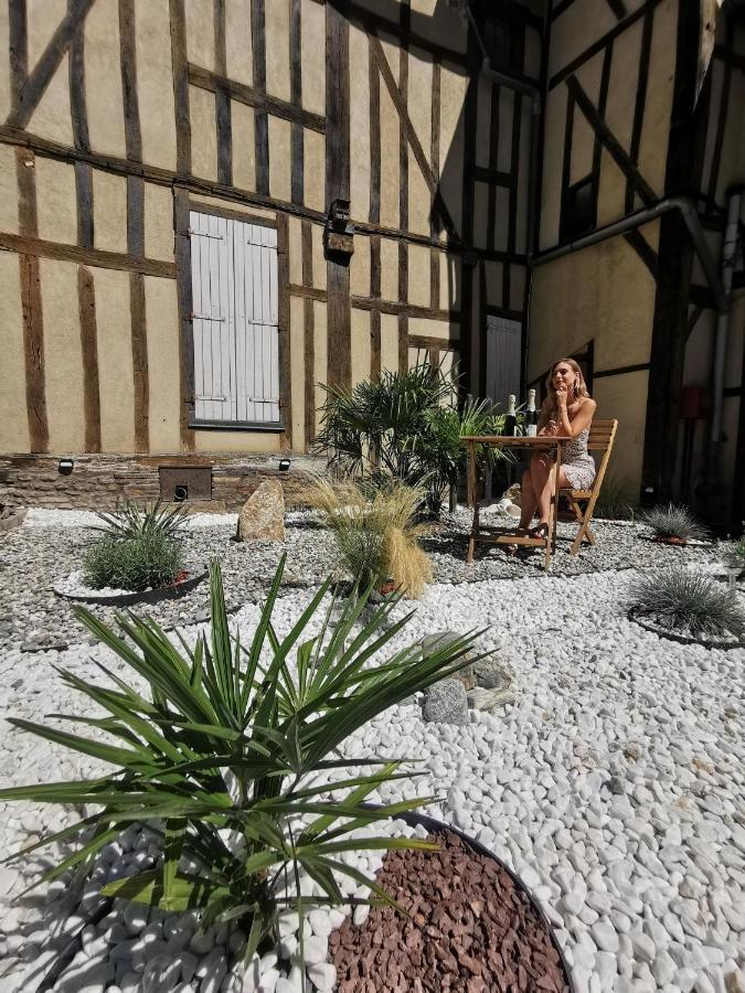 Le Chat De La Cathedrale - Calme - Jardin - Wifi Troyes Buitenkant foto